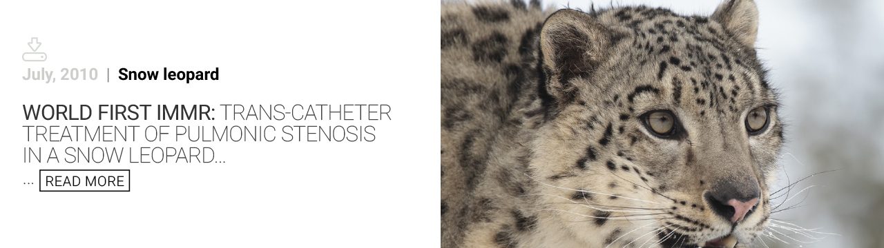 Newsletters snow-leopard - immr